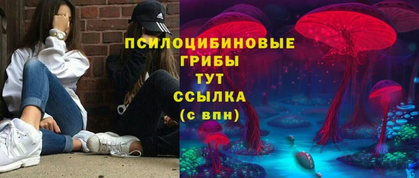 твердый Зеленокумск