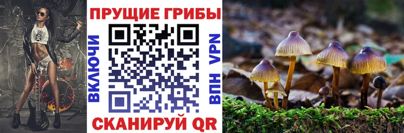 Псилоцибиновые грибы мицелий  Купить где  Комсомольск 